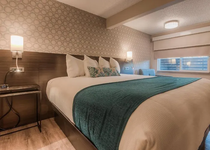 The Hotel Y