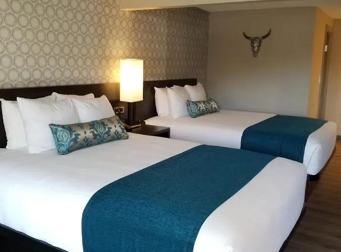 The Hotel Y